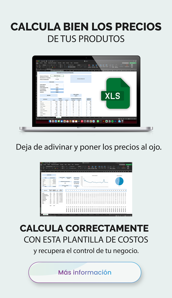 Plantilla de costos